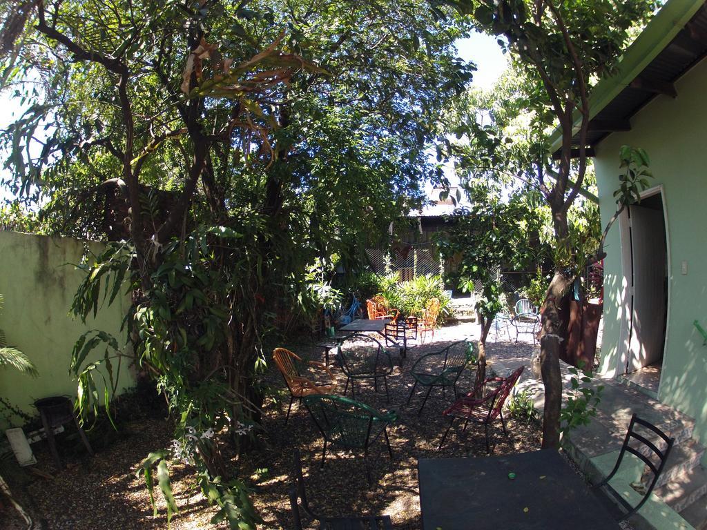 Hamaca Paraguaya Hostel Asunción Exterior foto
