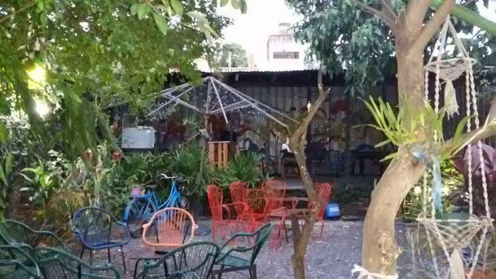 Hamaca Paraguaya Hostel Asunción Exterior foto